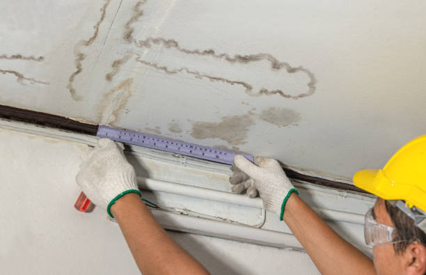 Reliable Mold Remediation contractor in Sperry, OK by Water Damage Irwin